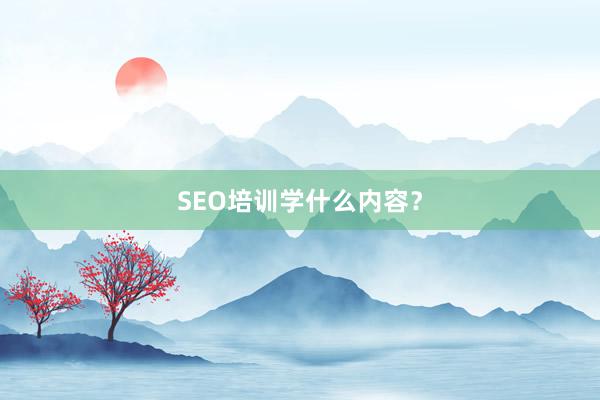 SEO培训学什么内容？